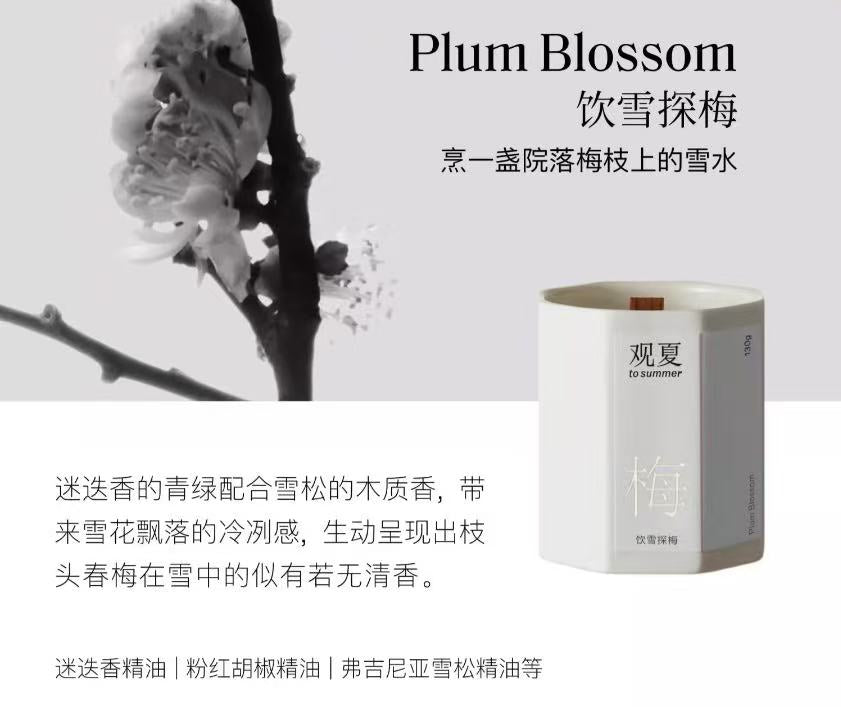 A To Summer Scented Candle 观夏 香薰蜡烛 现货