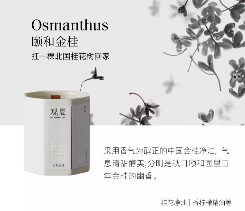 A To Summer Scented Candle 观夏 香薰蜡烛