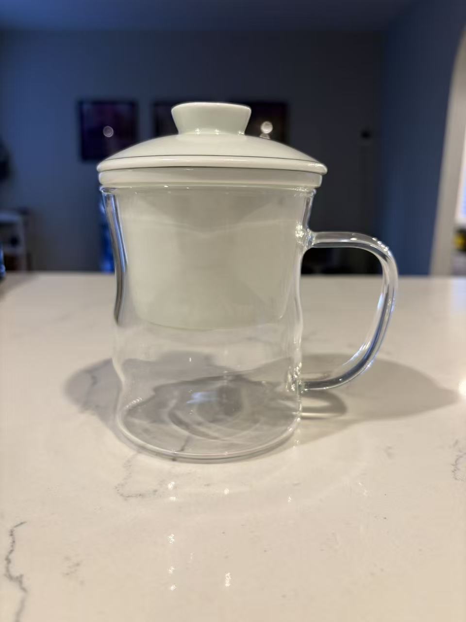 Glass Tea Infuser Cup with Ceramic Filter